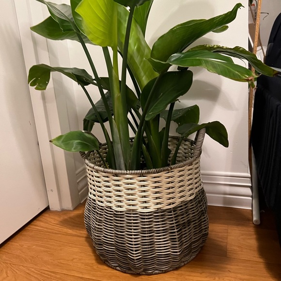 Strong vintage basket with handles - Picture 6 of 16